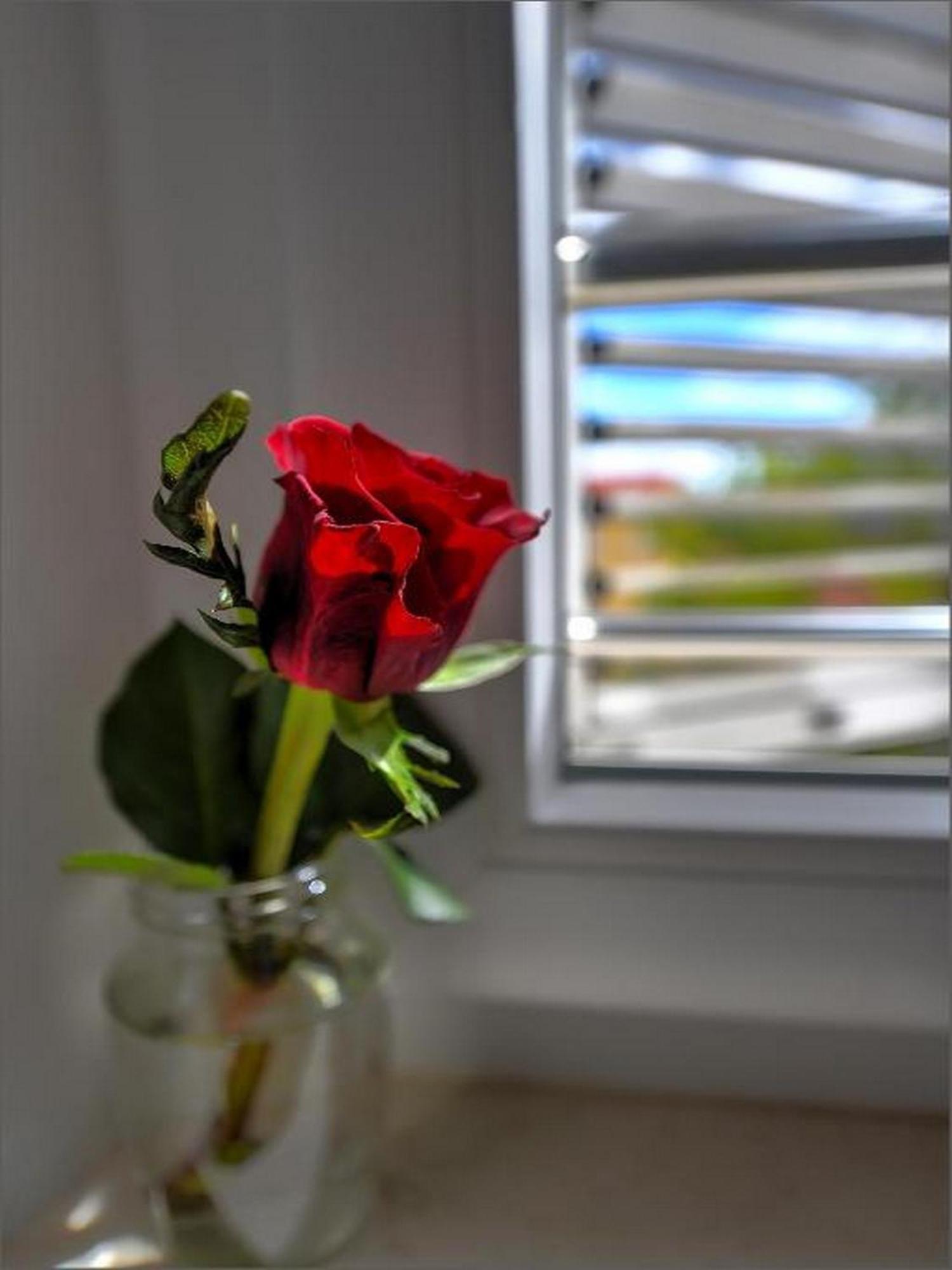 Via Porto Rooms Split Quarto foto